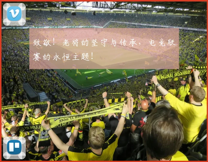 致敬!老将的坚守与传承,电竞联赛的永恒主题!