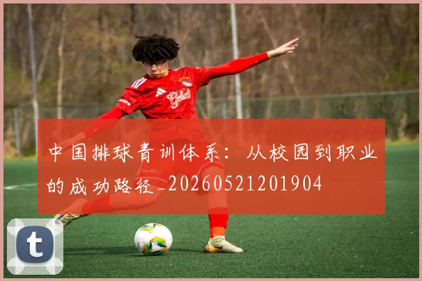 中国排球青训体系：从校园到职业的成功路径_20260521201904