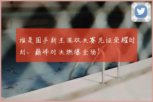 谁是国乒新王混双决赛见证荣耀时刻,巅峰对决燃爆全场!