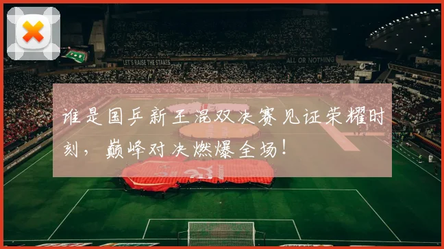 谁是国乒新王混双决赛见证荣耀时刻，巅峰对决燃爆全场！